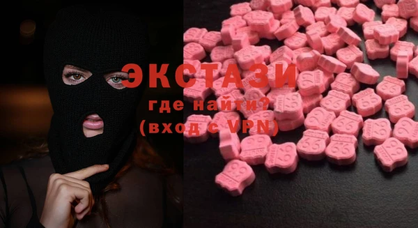 ECSTASY Богородицк